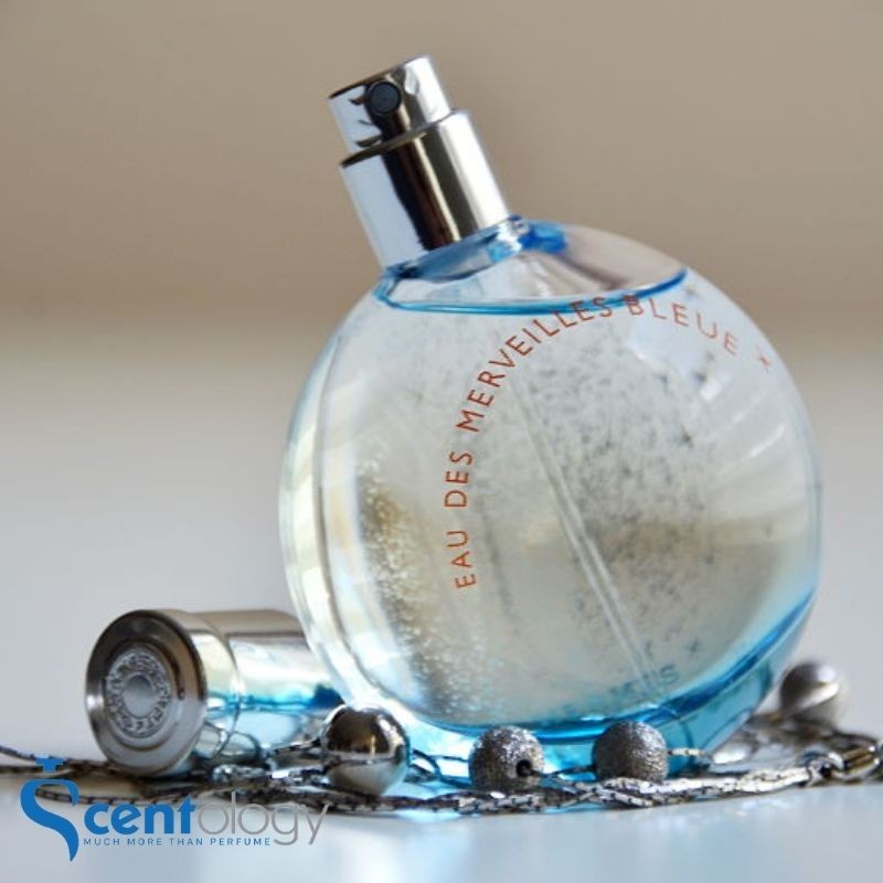Hermes Eau Des Merveilles Bleue